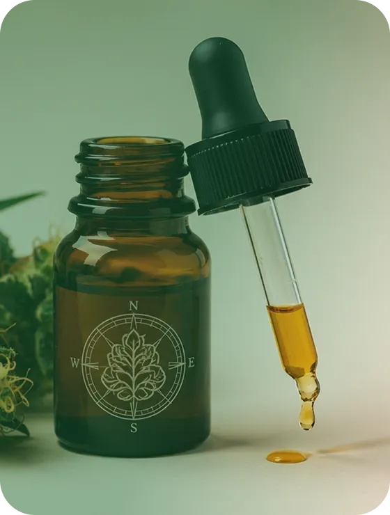 Braune Tropfflasche mit Cannabisextrakt und Pipette, aus der ein Öltropfen fällt